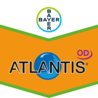 Atlantis OD