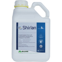 Shirlan