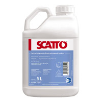 SCATTO