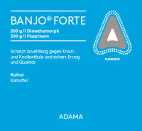 BANJO forte