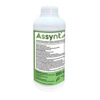 Assynt