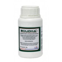 BOUDHA