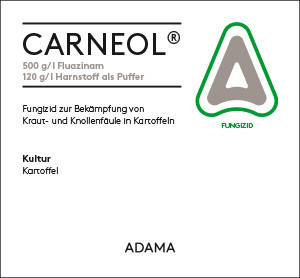 Carneol