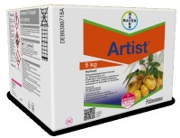 Artist