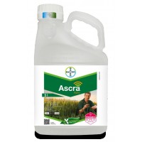 Ascra Xpro
