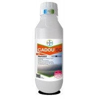 Cadou SC