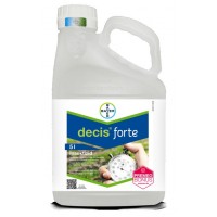 Decis forte
