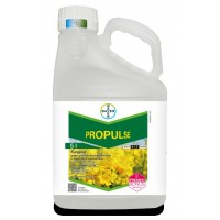 Propulse