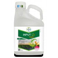 Input Triple