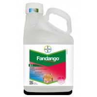 Fandango